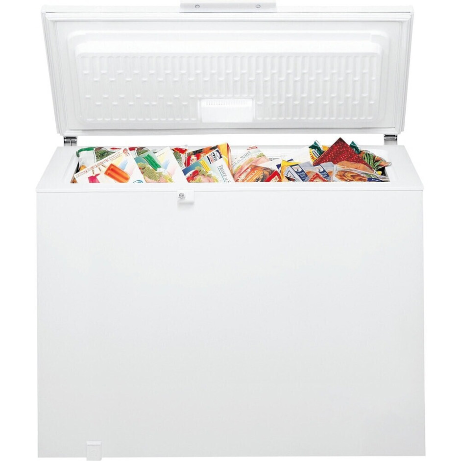 Bauknecht - GTE ECO 222 EX - Gefriertruhe - 219 Liter, 1 Vorratskorb, Schnellgefrieren, 42 dB(A)